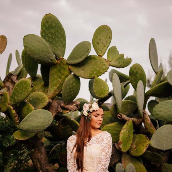 Vlado Cvirn - fotograf - TF portal_Trebam Fotografa - portfolio-11